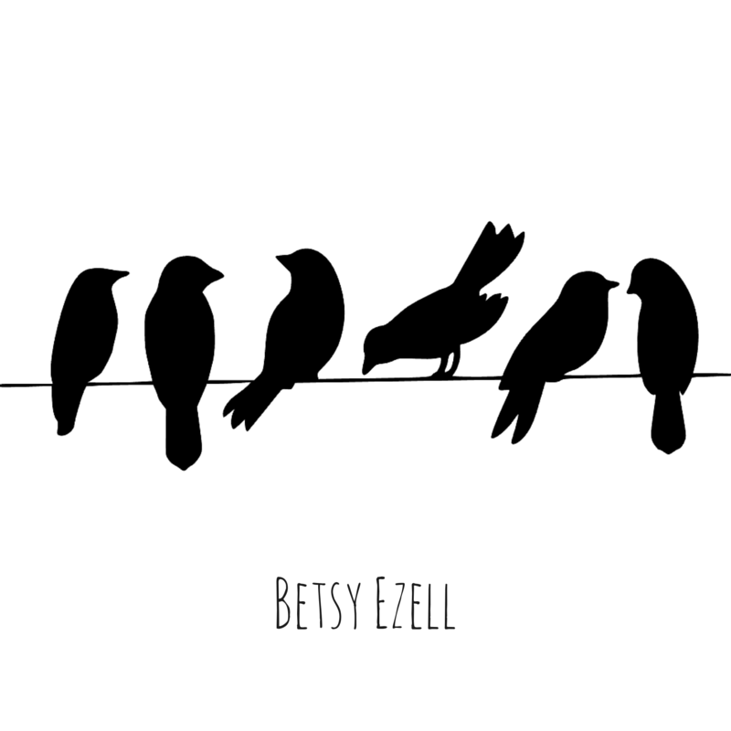 Bird on a Wire Cover